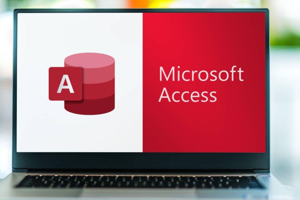 Microsoft Access Basic to Advanced 3-Day Training