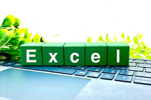 Microsoft Excel – Introduction to Power Query, Power Pivot & DAX