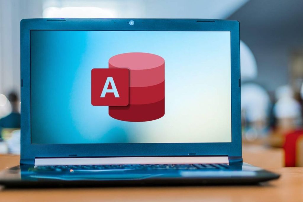 Microsoft Access Basic to Advanced 3-Day Training